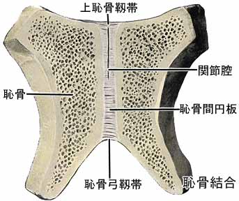 A03603001f.jpg (18824 バイト)