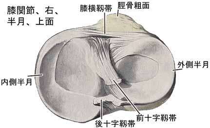 A03608001a.jpg (13698 バイト)