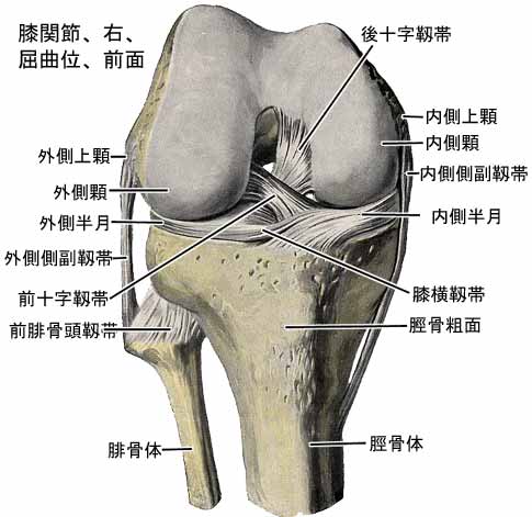 A03608001c.jpg (29919 バイト)