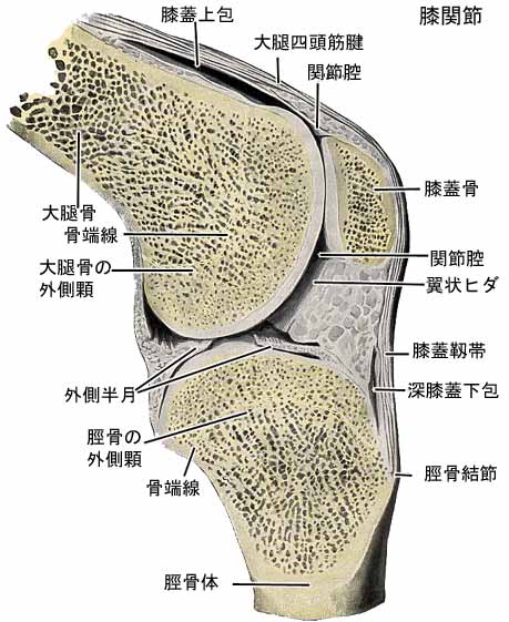 A03608001h.jpg (45788 バイト)