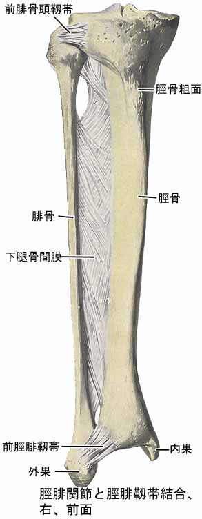 A03609001a.jpg (21540 バイト)