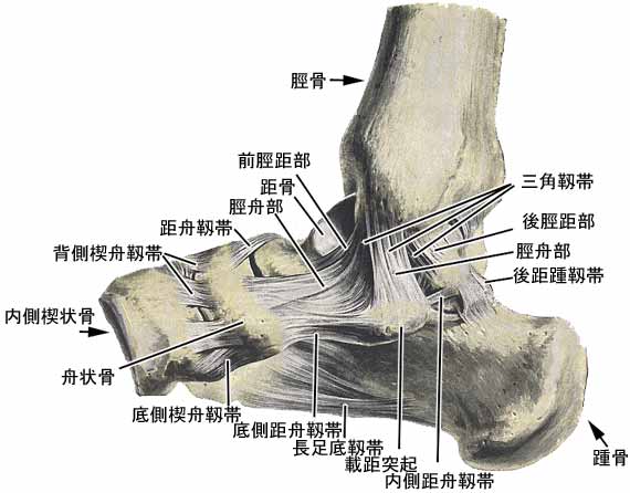 A03610001c.jpg (31792 バイト)