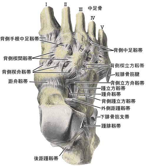 A03610001d.jpg (36110 バイト)