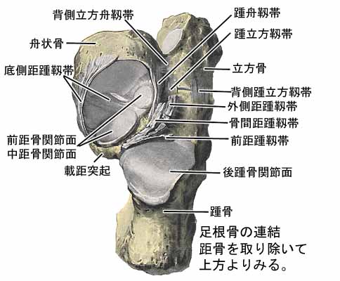 A03610001f.jpg (28224 バイト)