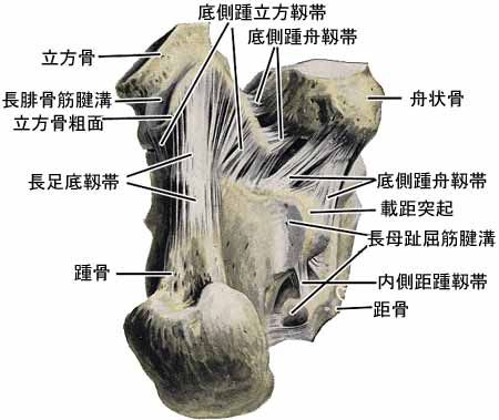 A03610001h.jpg (23973 バイト)