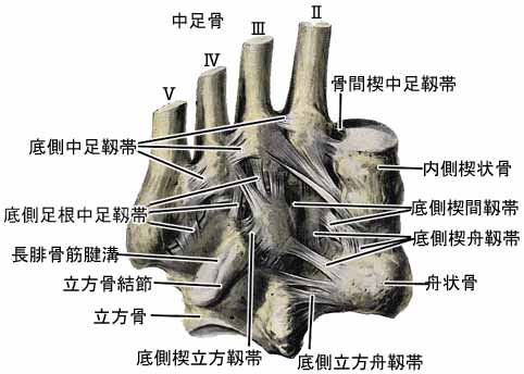 A03610001i.jpg (25009 バイト)