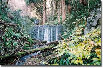 正法寺川狸沢第二号石堰堤