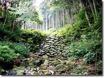 木和田川砂防五号堰堤