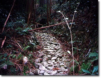 木和田川二号流路工