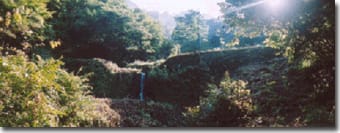 日影沢一号床固工