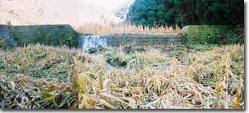 正法寺川北沢第八号石堰堤