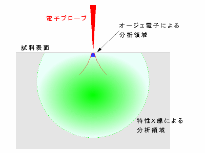 分析領域