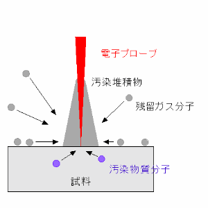 試料汚染