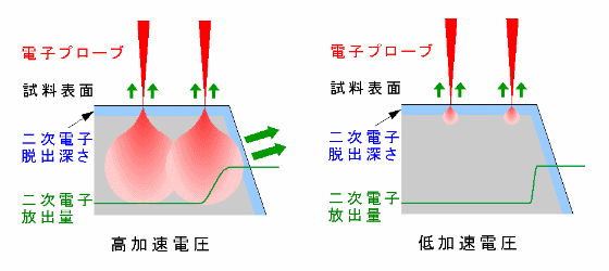 エッジ効果