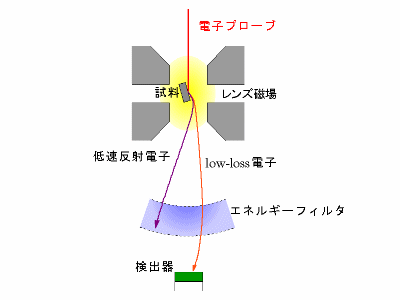 ローロスSEM