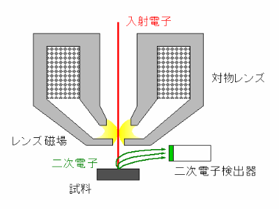 アウトレンズ検出器