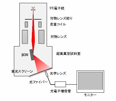 走査反射電子顕微鏡