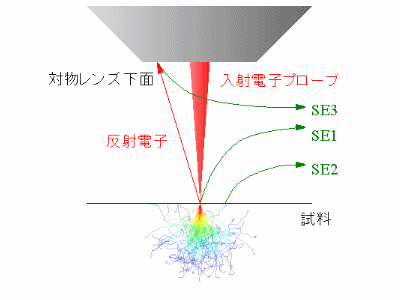 SE1