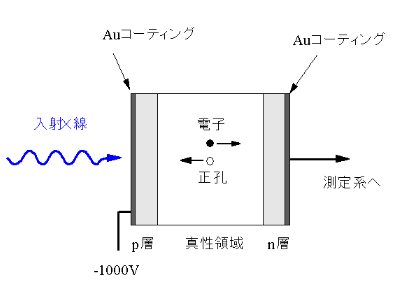 Si検出器