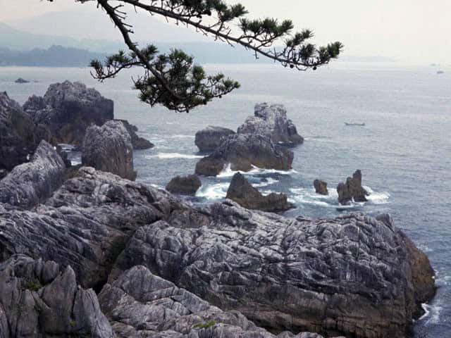 巨釜半造の画像