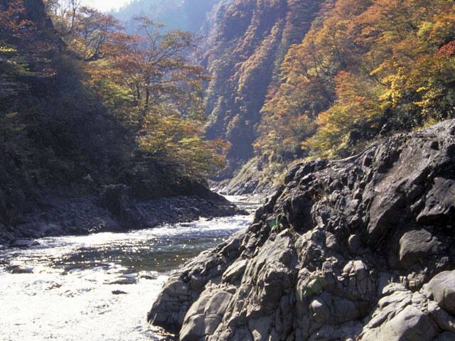上信越高原国立公園の画像