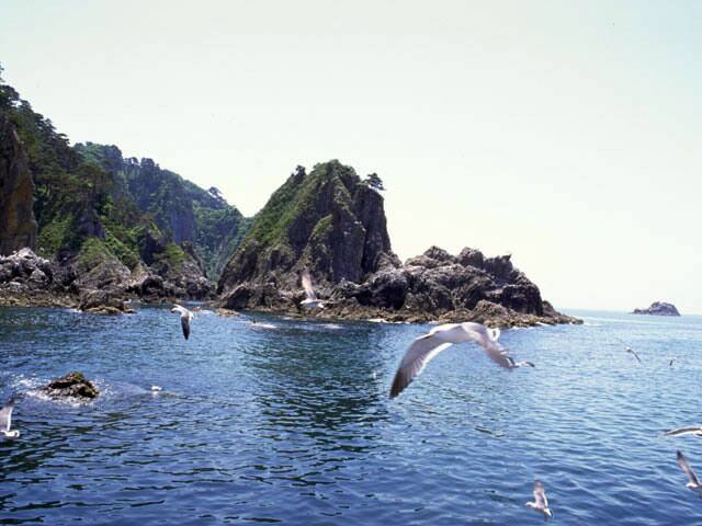 笹川流れの画像