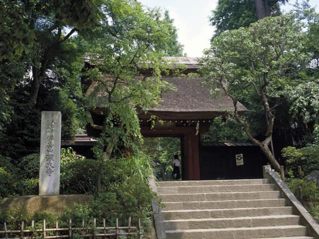 深大寺の画像