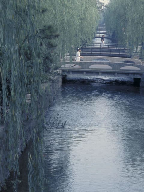 高瀬川の画像