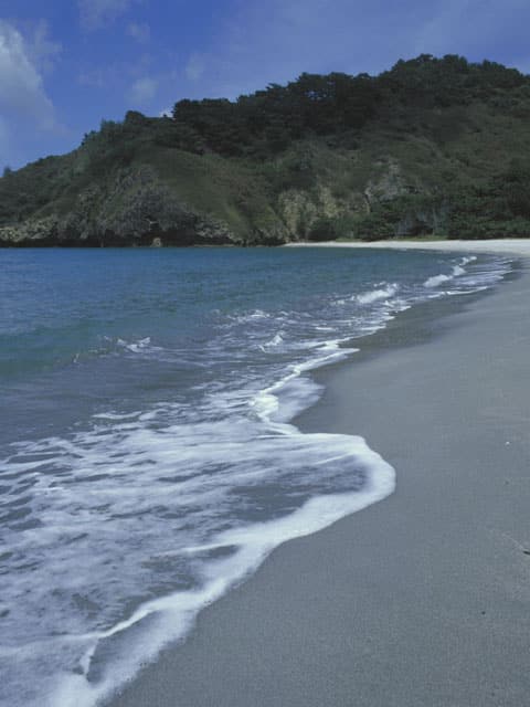 父島の画像