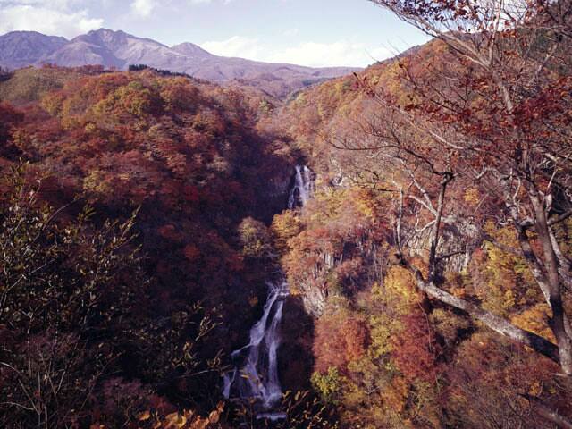 霧降滝の画像