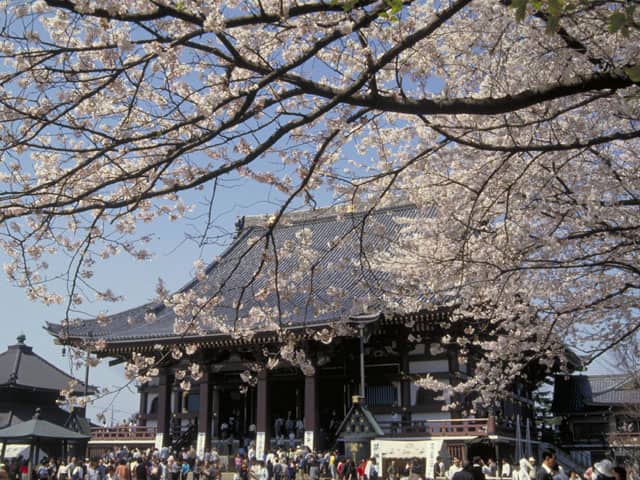 本門寺の画像