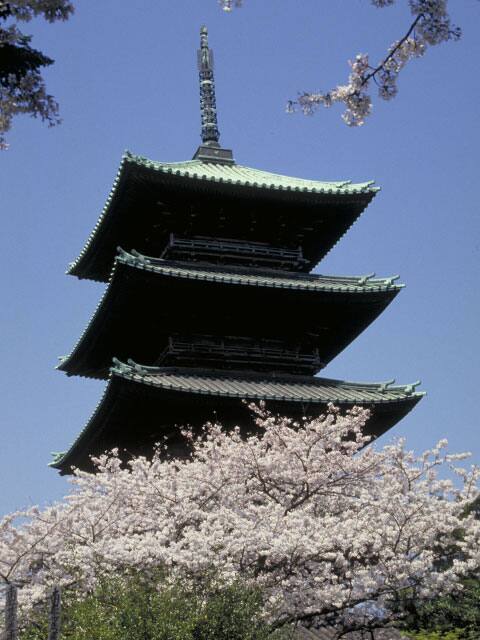 本門寺の画像
