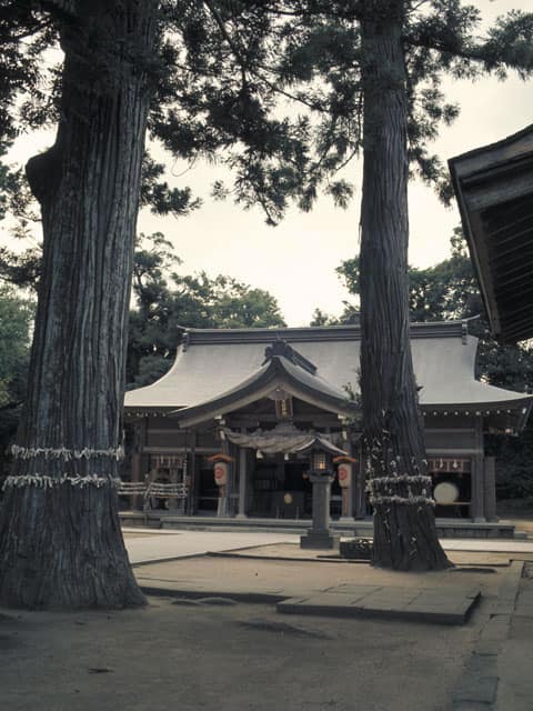 松江の画像