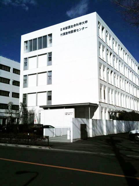 日本獣医生命科学大学の画像