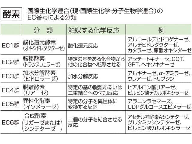 酵素の画像