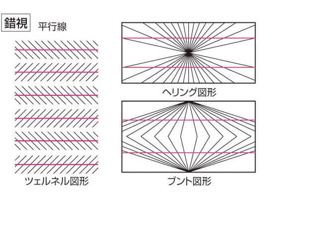 錯視の画像