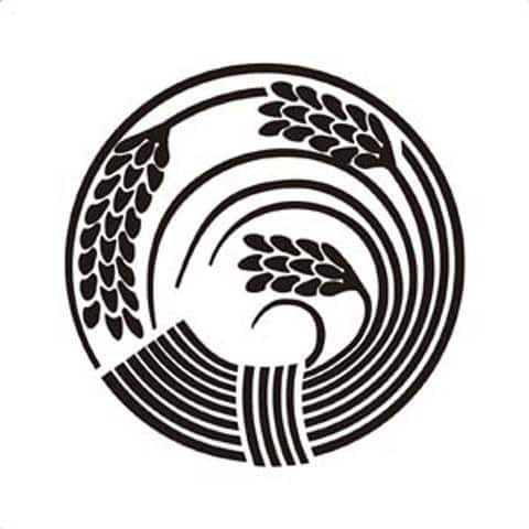 稲の画像