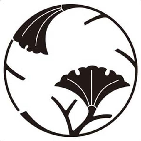 銀杏／公孫樹／鴨脚樹の画像