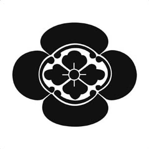 木瓜の画像