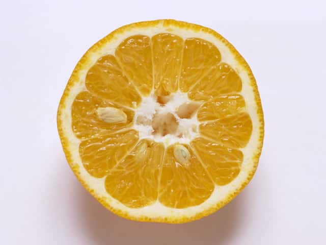伊予柑の画像