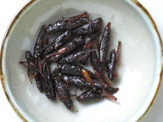 稲子／蝗の画像