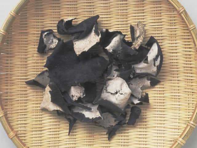 岩茸／石茸の画像