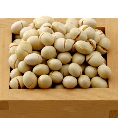 煎り豆／炒り豆の画像