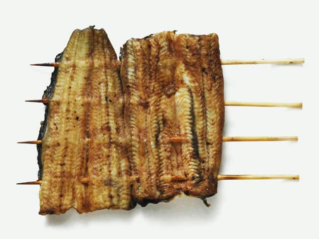 鰻の画像