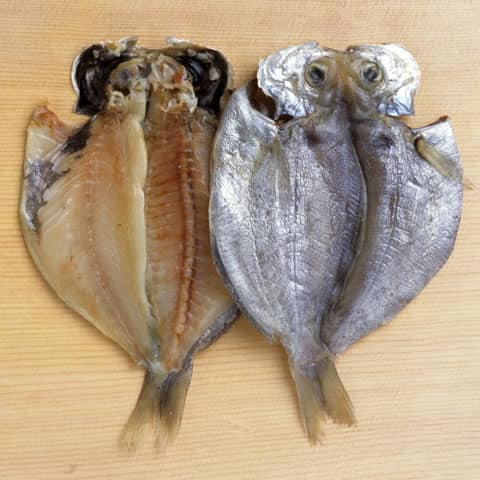疣鯛の画像