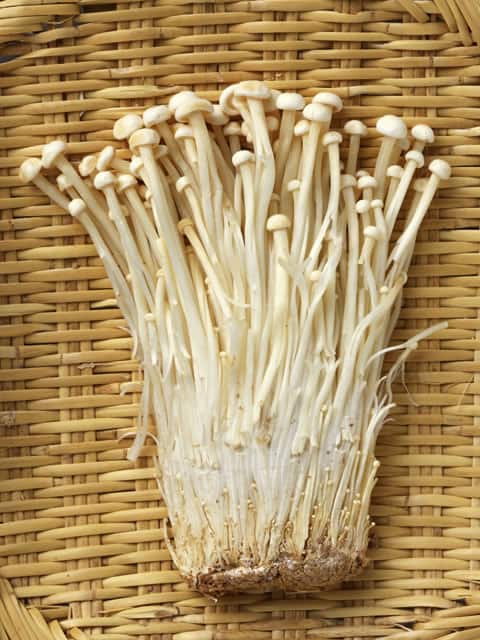 榎茸の画像