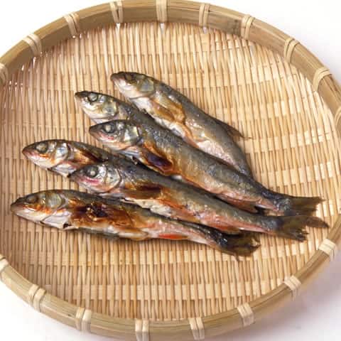 石斑魚の画像