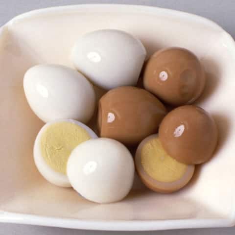 鶉の画像