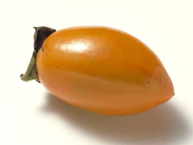 筆柿の画像