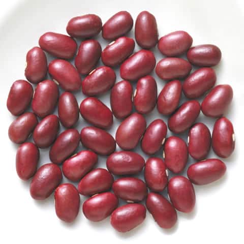 金時豆の画像